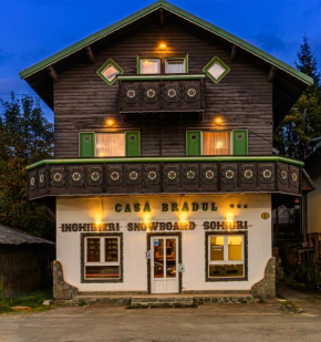 Гостиница Pension Casa Bradul  Предял